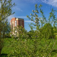 Весны цветение. :: Михаил "Skipper" Весны цветение. :: Михаил "Skipper"