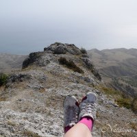 Природа Крыма :: Amazing Cosmea