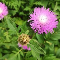 ,,, :: Сергей Тимоновский