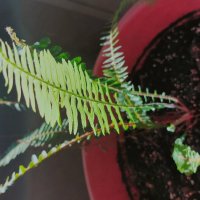 13  ОПЕН (49) :: OPEN WAYS ALL