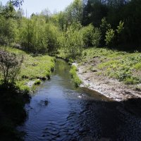 В долине реки Егошихи :: Евгений Шафер В долине реки Егошихи :: Евгений Шафер