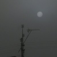 . :: Александр Хоменко