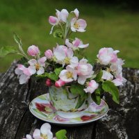 С веточками яблони.. :: Татьян@ Ивановна С веточками яблони.. :: Татьян@ Ивановна