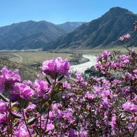 Весеннее... :: владимир Весеннее... :: владимир