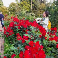 РИВЬЕРА :: Tata Wolf