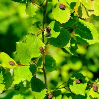 из позавчерашней съемки 1 :: Александр Прокудин