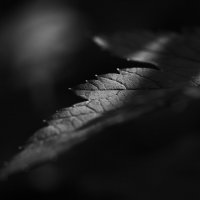 Луч света :: Валерий Гришин