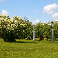 Москва. Парк Коломенское. :: Наташа *****