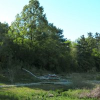 Природа  Крыма :: Валентин Семчишин