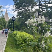 У Динамо :: Oleg4618 Шутченко