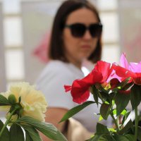 На выставке пионов :: ZNatasha -