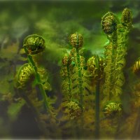 Элиенсы :: AZ east3