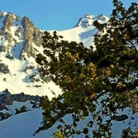 ПО ВЕРХАМ. :: Виктор Осипчук ПО ВЕРХАМ. :: Виктор Осипчук