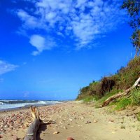 Камешки на берегу :: Сергей Карачин Камешки на берегу :: Сергей Карачин