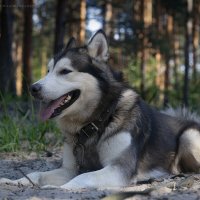 Ярик. :: leff Postnov Ярик. :: leff Postnov