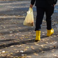 Ушёл :: Александр Тарноградский