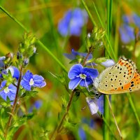 из сегодняшней съемки 3 :: Александр Прокудин из сегодняшней съемки 3 :: Александр Прокудин
