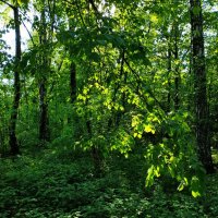 Самый теплый день в этом году :: Андрей Лукьянов