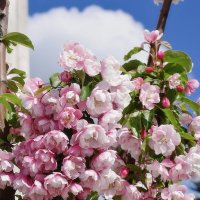 Волшебство природы. :: Татьяна Помогалова Волшебство природы. :: Татьяна Помогалова