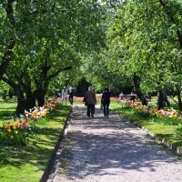 Москва. Парк Коломенское. :: Наташа *****