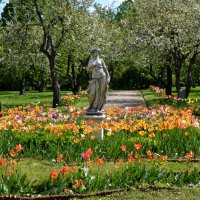 Москва. Парк Коломенское. :: Наташа *****