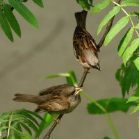 Жизнь :: kolyeretka Жизнь :: kolyeretka