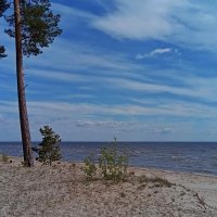 Майский променад.. :: Татьян@ Ивановна