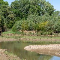 Прогулка по окрестностям :: Игорь Сикорский Прогулка по окрестностям :: Игорь Сикорский