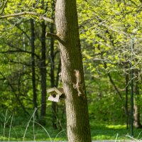 ___ :: Yuriy V ___ :: Yuriy V