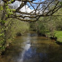 весна :: ИННА ПОРОХОВА