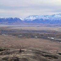 *** :: владимир 