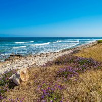 Хайфский берег :: Эмиль 