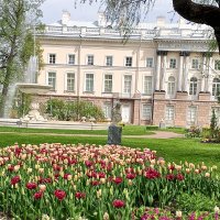 Весна :: Сапсан 