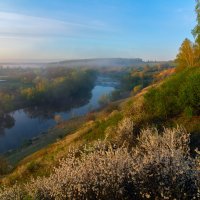 *** :: Виталий Емельянов