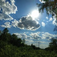 * * * :: Андрей Лукьянов