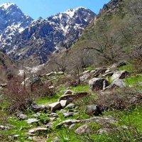 ПО ГОРАМ. :: Виктор Осипчук