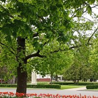 Прогулка на ВДНХ :: Pippa 