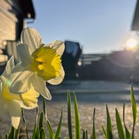 Дачные штучки :: Дмитрий Иванов