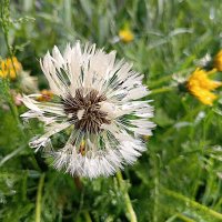 После дождя :: Любовь Сахарова После дождя :: Любовь Сахарова