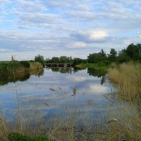Вечер,местная речка. :: сергей ермошкин Вечер,местная речка. :: сергей ермошкин