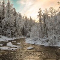 Линдуловская роща :: skijumper Иванов Линдуловская роща :: skijumper Иванов