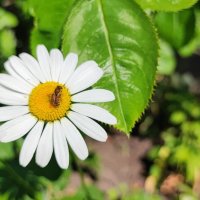 ,,, :: Сергей Тимоновский