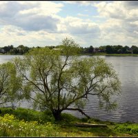 Май на берегу реки :: Aleksandr Gal Май на берегу реки :: Aleksandr Gal