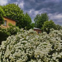 Обычный майский день в Минске. :: Александр Сапунов