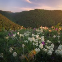 * :: Александр Иванов