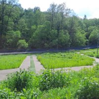 В парке :: Ирэн 