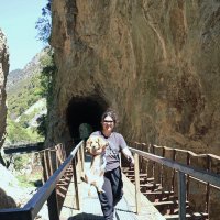 Милый песик. :: Оля Богданович