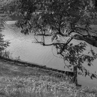 ***** :: юрий поляков