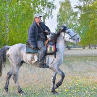 Пастух ! :: Maxxx© Пастух ! :: Maxxx©