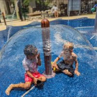 Жара :: **** vedin